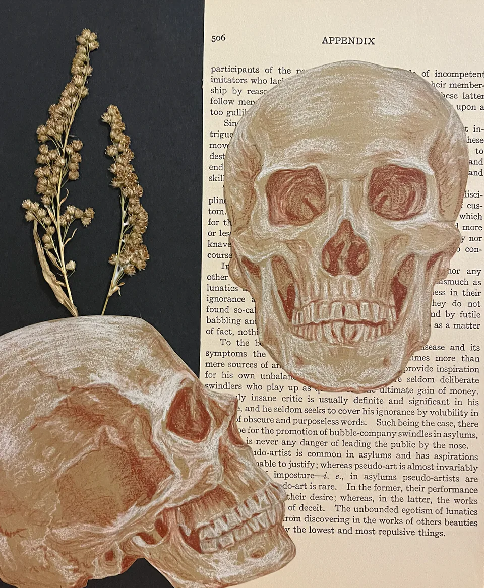 Two skulls rendered in warm ochre on a page of printed book text, with a dried sprig of seed pods laid alongside.
