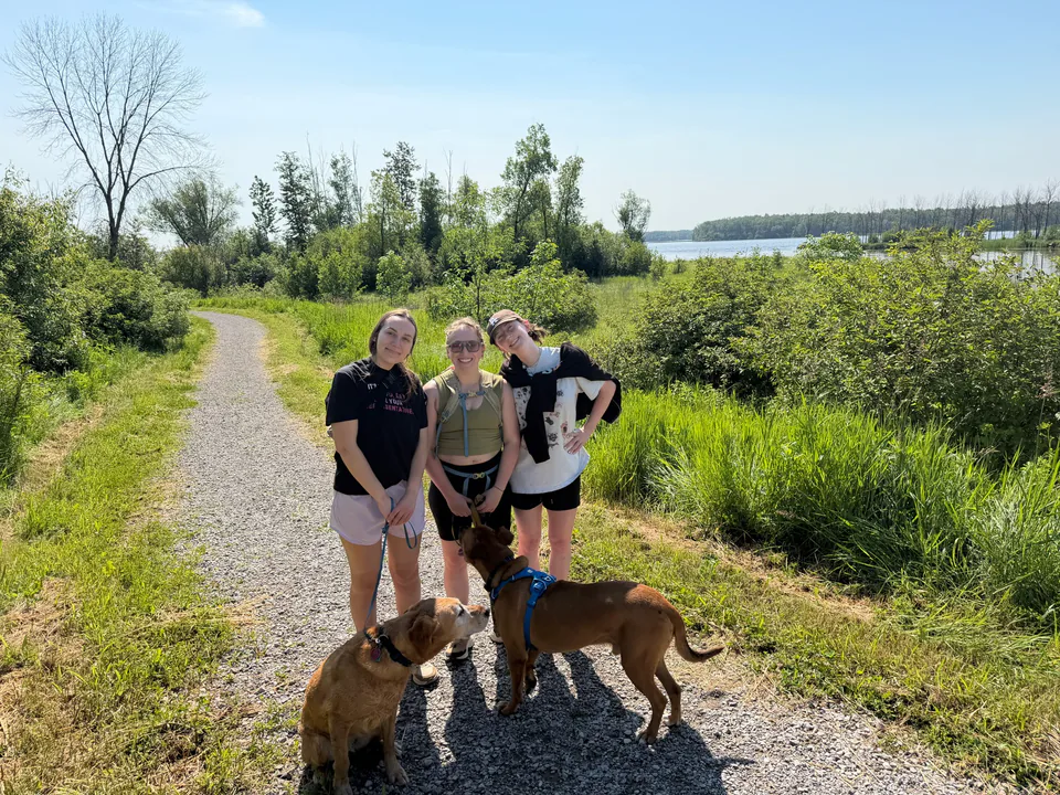 Three people walking two dogs along a gravel path beside open water.